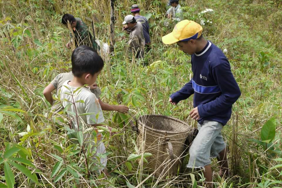 Land, Livelihood & Sustainability Land, Livelihood & Sustainability